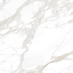 ragno-incanto-120x120-calacatta-nobile-r8np-687375 