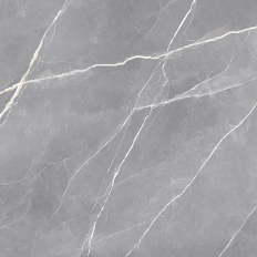 ELEGANCE-SILVER_0000_Livello-1 