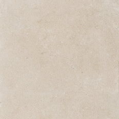 Pierre Vive Noble Loire 