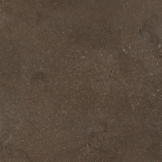 Pierre Vive Noble Brionne 